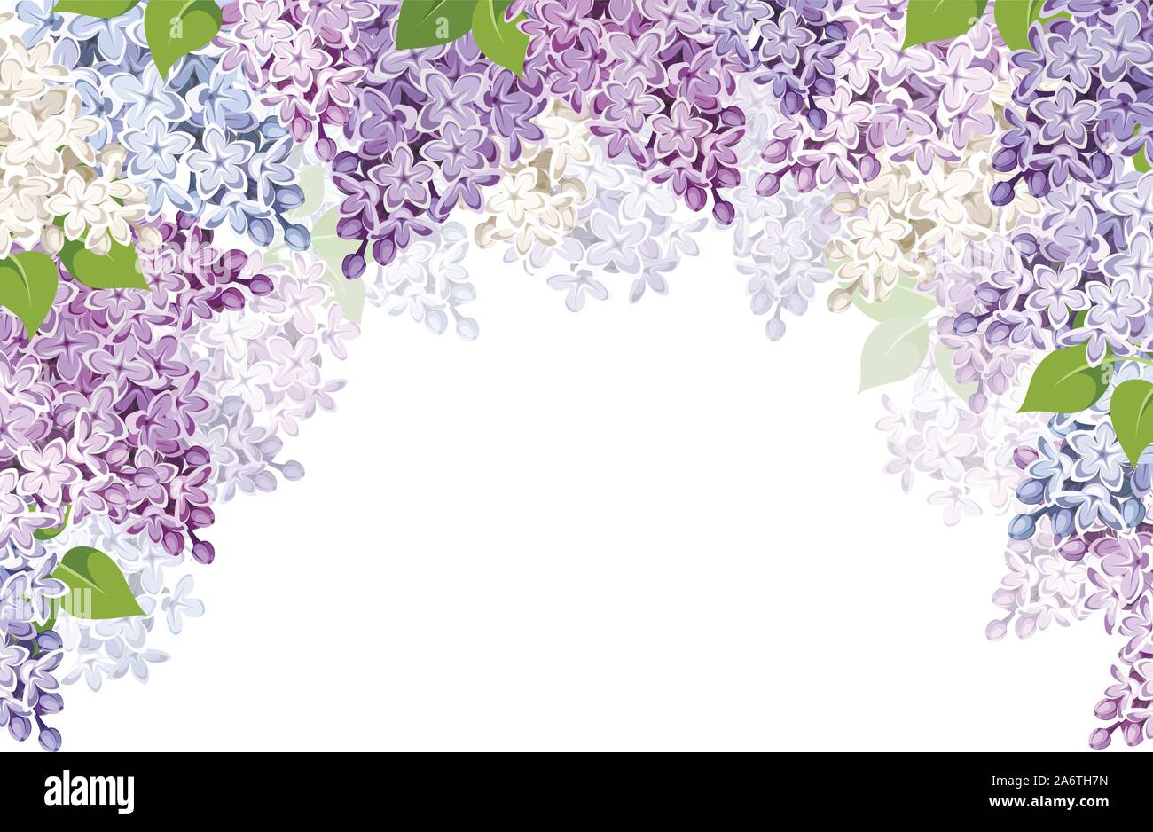 Antecedentes vectoriales con morado, rosa, azul y blanco de flores de color lila Imagen Vector de stock - Alamy Antecedentes vectoriales con morado, rosa, azul y blanco de flores de color lila Imagen Vector de stock - Alamy