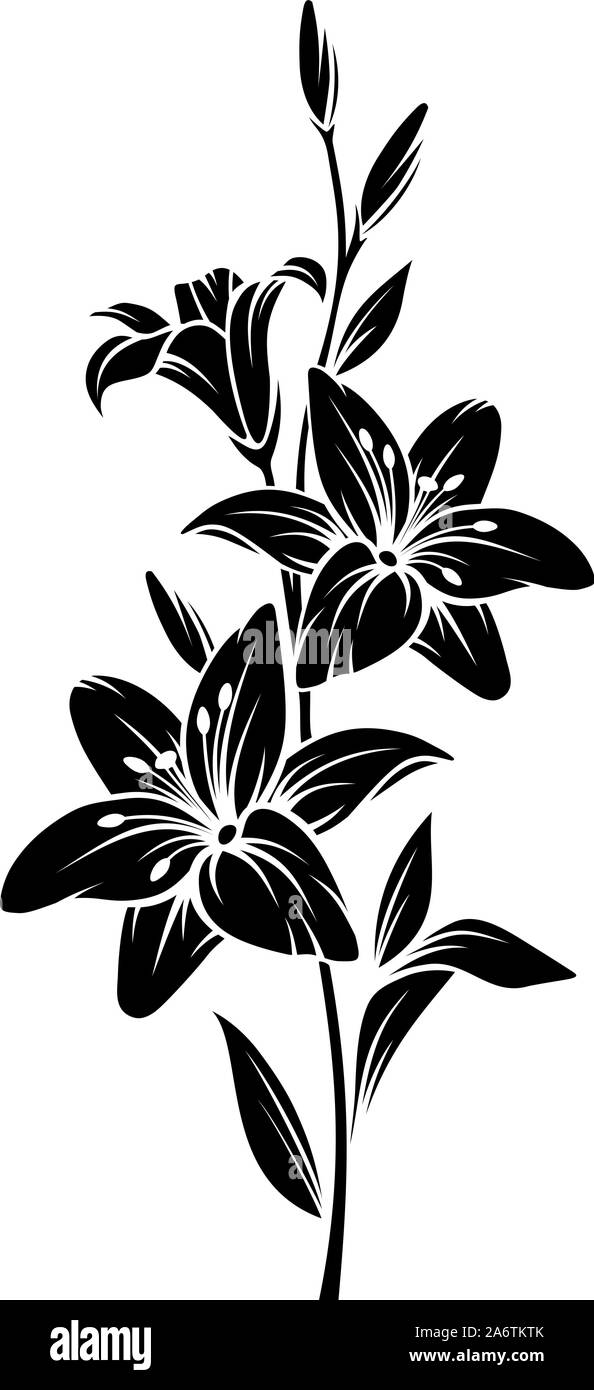Vector silueta negra de Lily flores. Ilustración del Vector