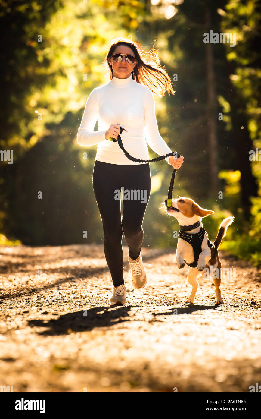 Chica está corriendo con un perro (Beagle) con una correa en la época otoñal, día soleado en el bosque. Copie el espacio en la naturaleza Foto de stock