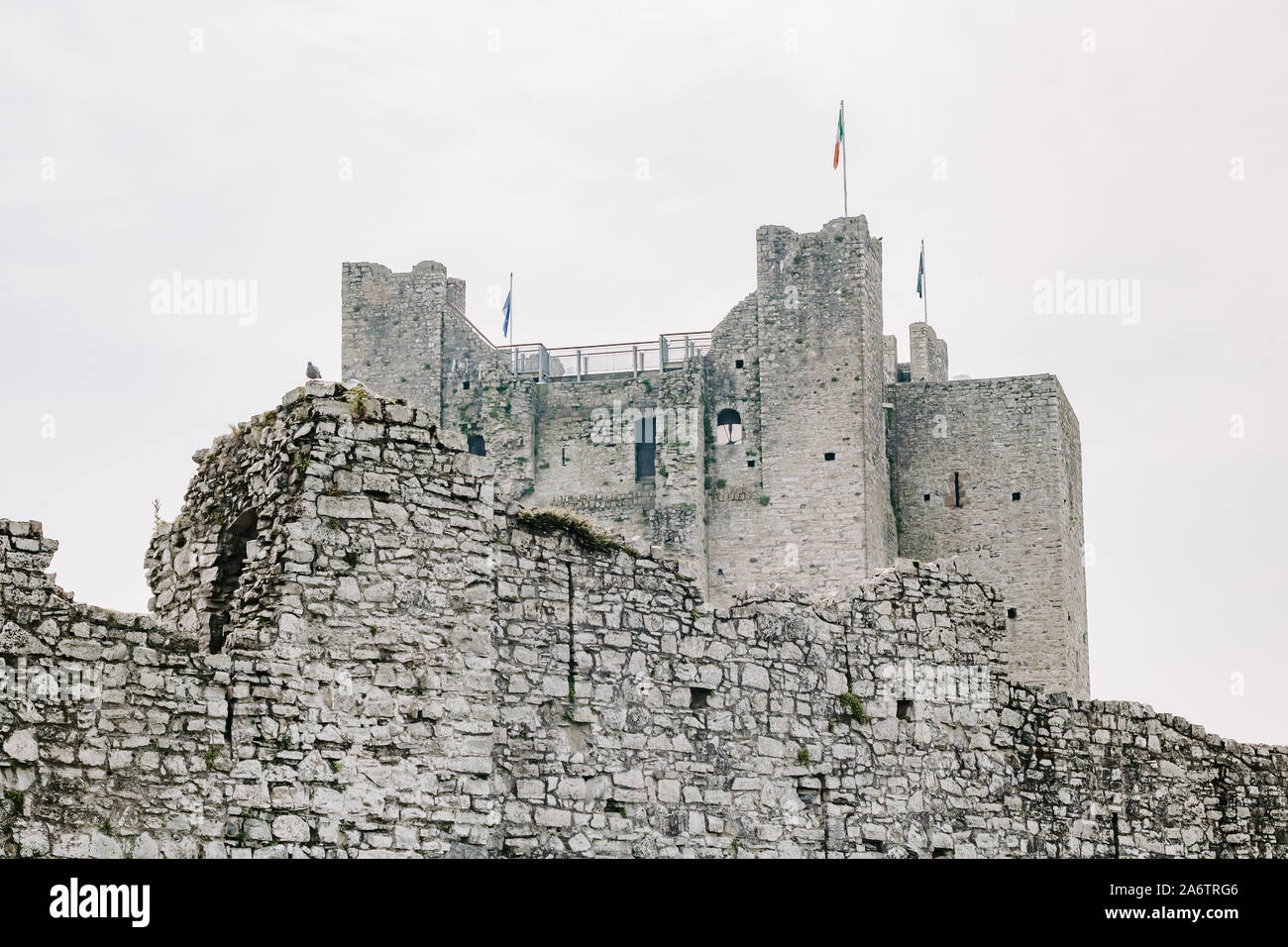 Castillo Trim, Co Meath, Irlanda, Discover Ireland, historia, cosas que hacer, turismo, anglo normando, castillo medieval, la historia de Irlanda, castillo de paredes Foto de stock