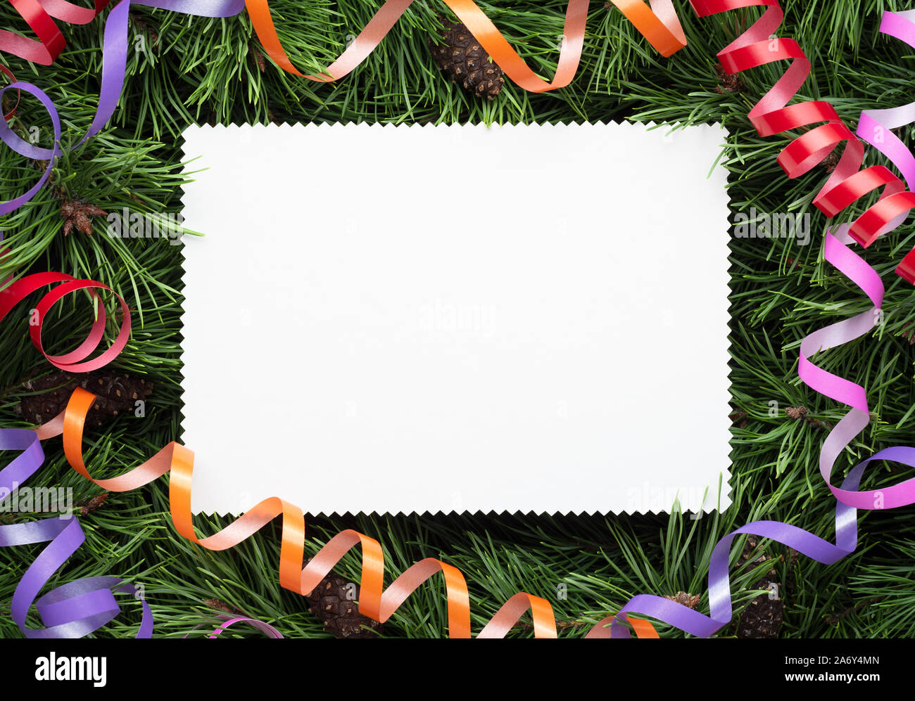 Bastidor de navidad decorado con ramas de pino y una hoja de papel blanco. Espacio para copia de felicitación para las vacaciones, o publicidad de texto Foto de stock
