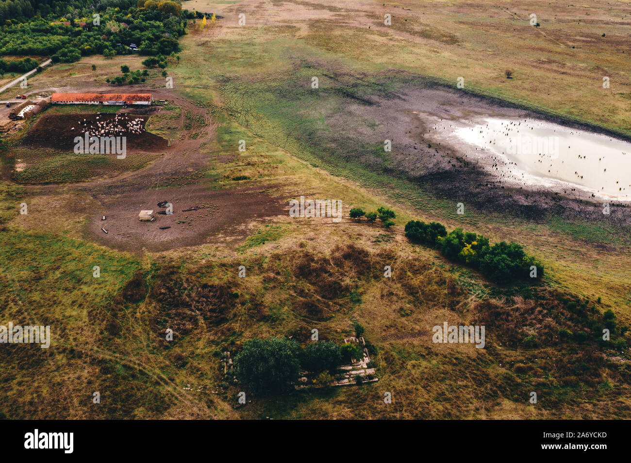 Vista aérea de granjas lecheras prado con su estanque y su rebaño de vacas pastando en la granja Foto de stock