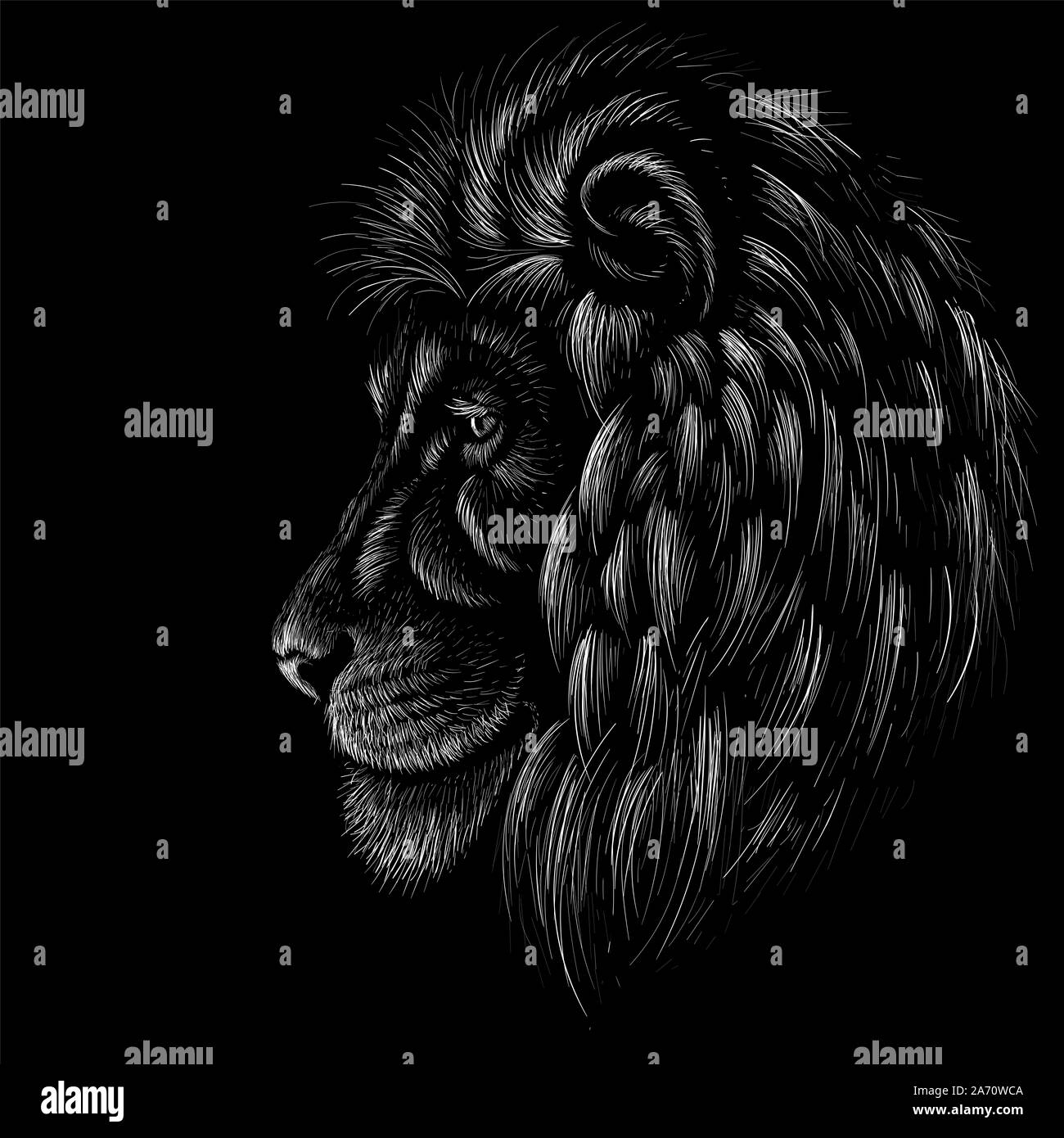 El Vector Logo Leon Para Tatuaje O T Shirt De Impresion O De Diseno Outwear Caza Leones Estilo De Fondo Este Dibujo Seria Bueno Hacer Sobre El Negro F Fotografia De Stock