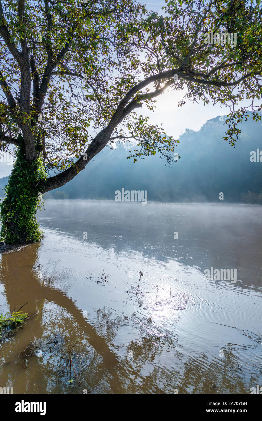 Niebla se alza sobre el río Wye en la inundación por la B4234 en el Gloucestershire/Herefordshire frontera 28.10.2019 cerca de Lower Lydbrook, Gloucestershire Foto de stock