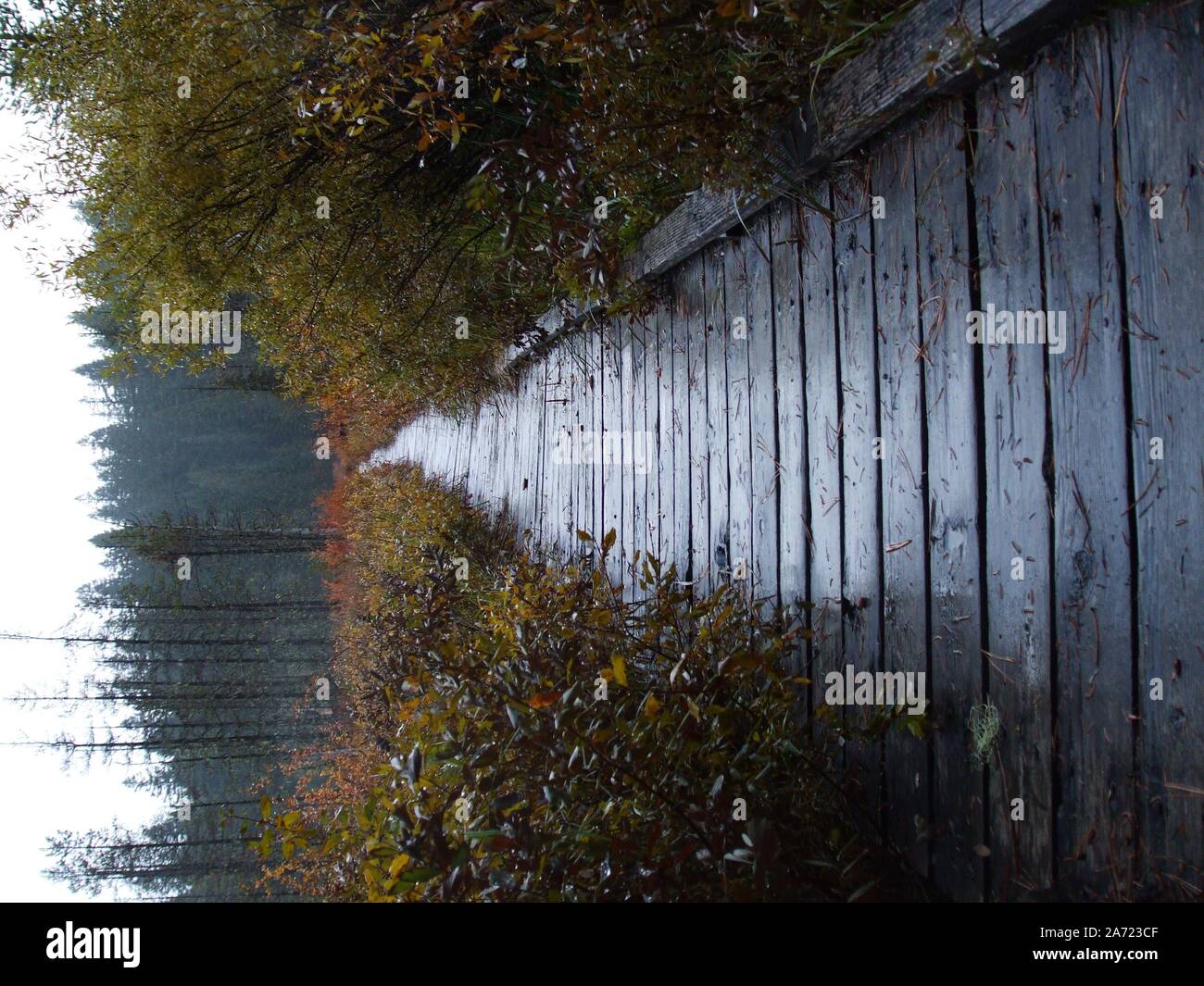 Una Larga Línea Líder De Un Paseo De Madera Torcida Húmeda