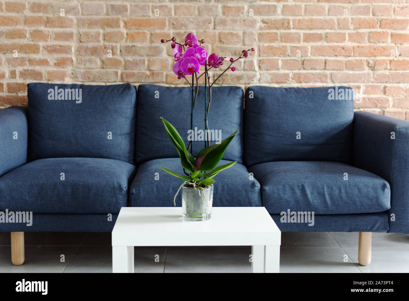 Mesa de la sala con maceta de orquídeas. Flor de orquídea púrpura sobre la mesa en un moderno diseño interior. Foto de stock