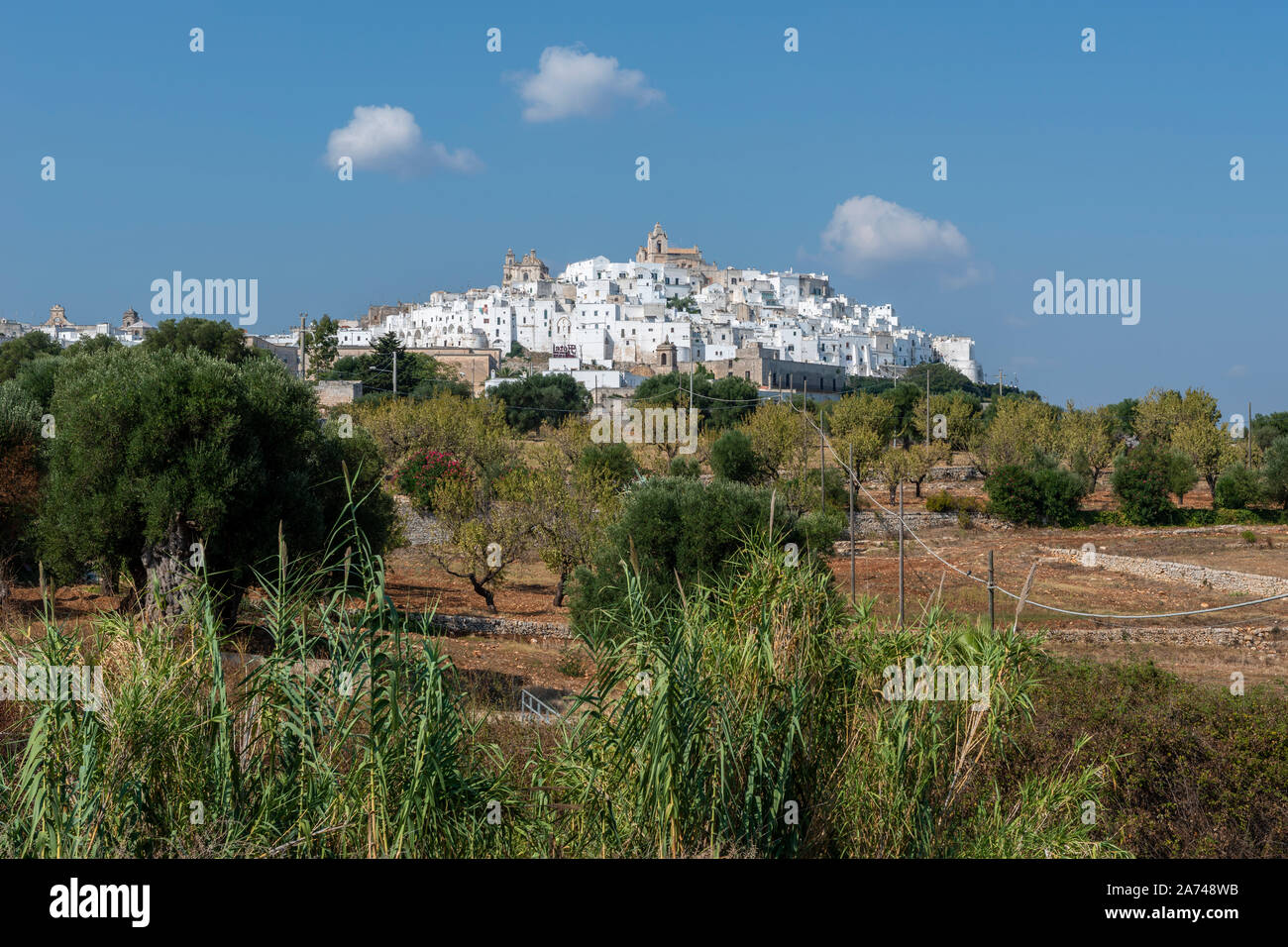 Vista lejana de casas encaladas en el casco antiguo de Ostuni en Apulia (Puglia) en el sur de Italia Foto de stock