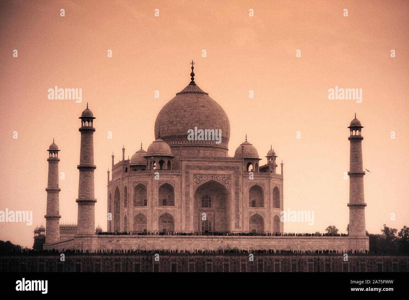 La India, Uttar Pradesh, Agra, Taj Mahal (UNESCO sitio) Foto de stock