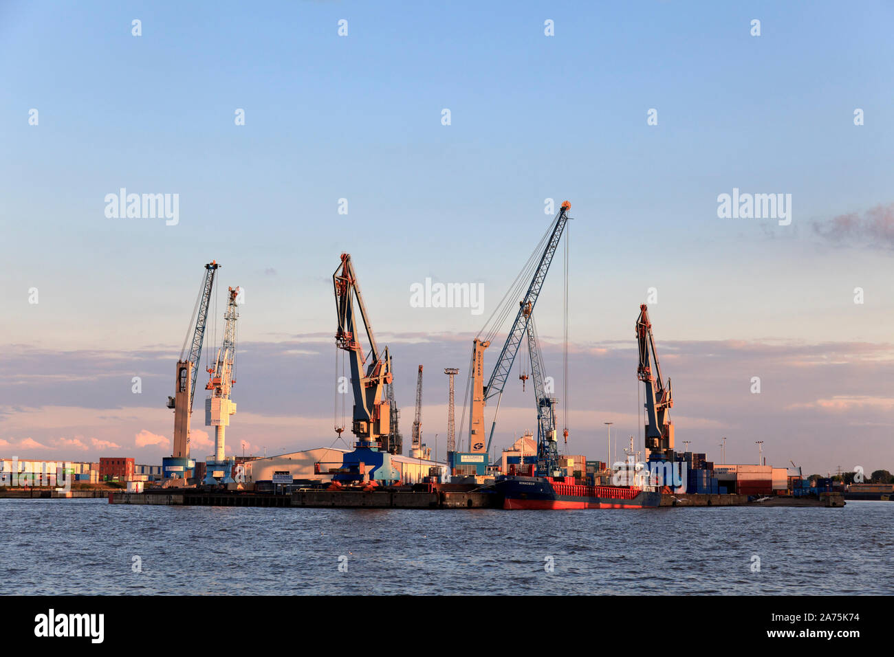 Alemania, Hamburgo, Speichrstadt y Hafencity, distrito Dalmannkaipromenade, grúas en Hafencity Harbor Foto de stock