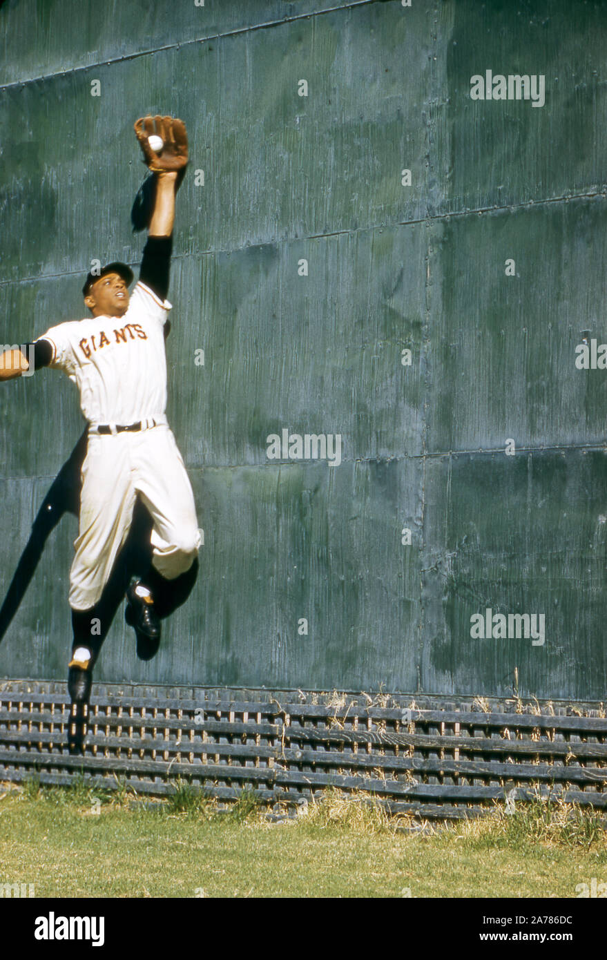 NEW YORK, NY - 1957: Willie Mays #24 de los Gigantes de Nueva York hace un cerrojo en la pared durante los warm-ups ante un juego MLB circa 1957 en el Polo Grounds en Nueva York, Nueva York. (Foto por Hy Peskin) *** Local Caption *** Willie Mays Foto de stock