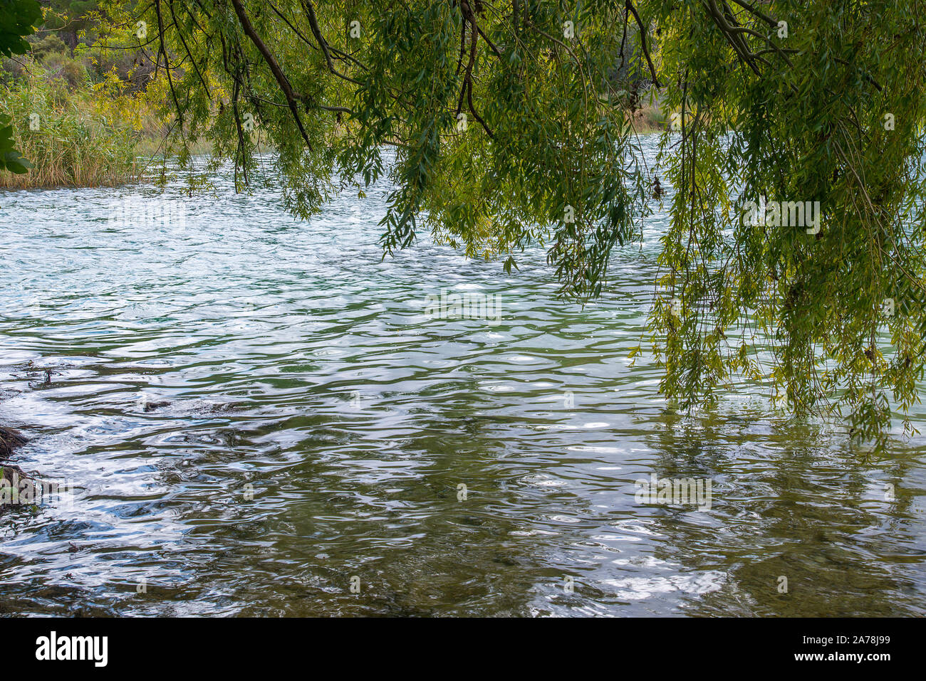 Salsa Lloron Fotos e Imágenes de stock Alamy