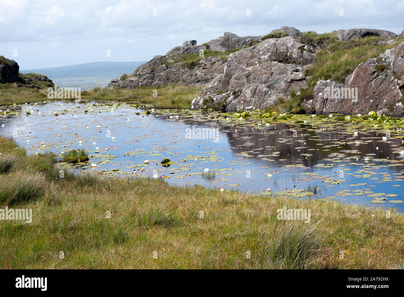Pequeño lago de montaña con lirios de agua en Connemara, Condado de Galway, Irlanda Foto de stock