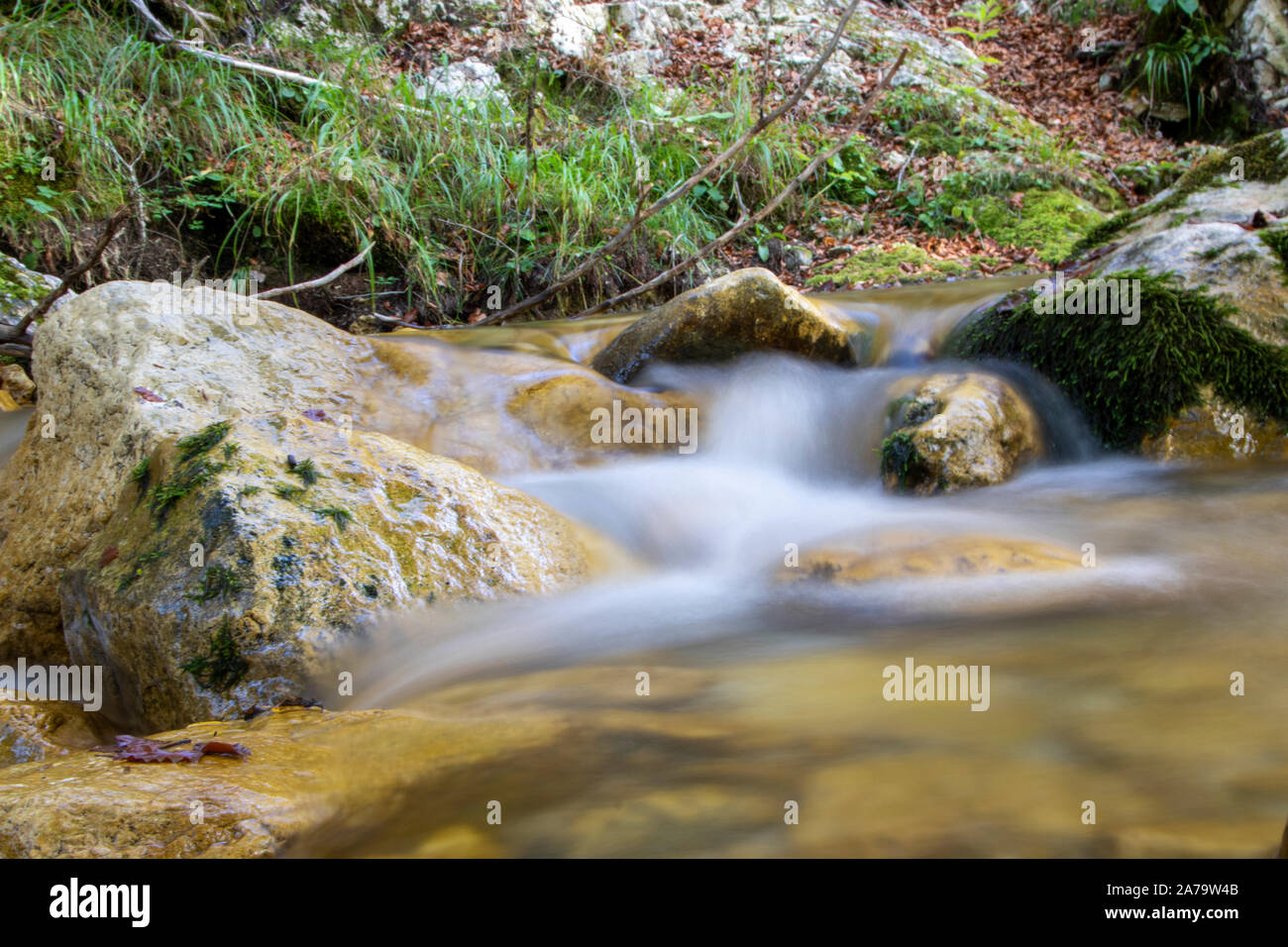 Creek, en los bosques de val fondillo en otoño, el parque nacional de Abruzzo, Italia Foto de stock