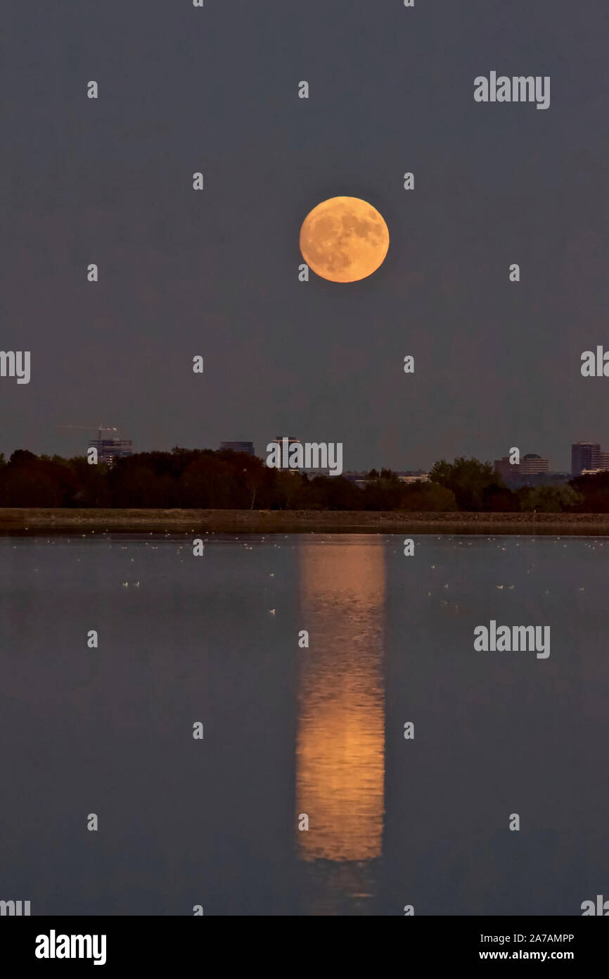 La Luna del cazador se eleva por encima del Denver Tech Center y reflejado en un lago. Foto de stock