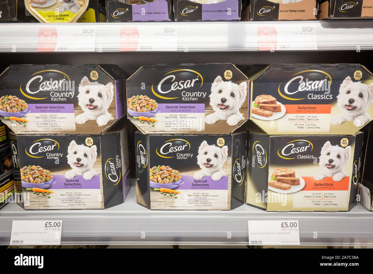 Imágenes en una tienda de alimentos de Co-Op. César alimento de perro Foto de stock