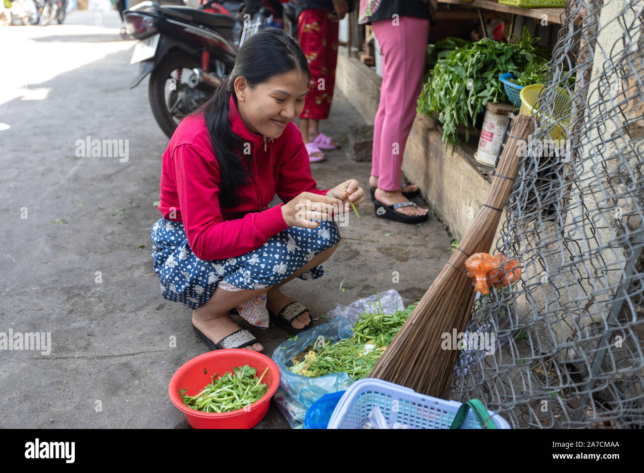 La Ciudad Nha Trang, Vietnam, 25 de marzo de 2019 chica vietnamita ordena la hierba en el mercado alimentario. Foto de stock