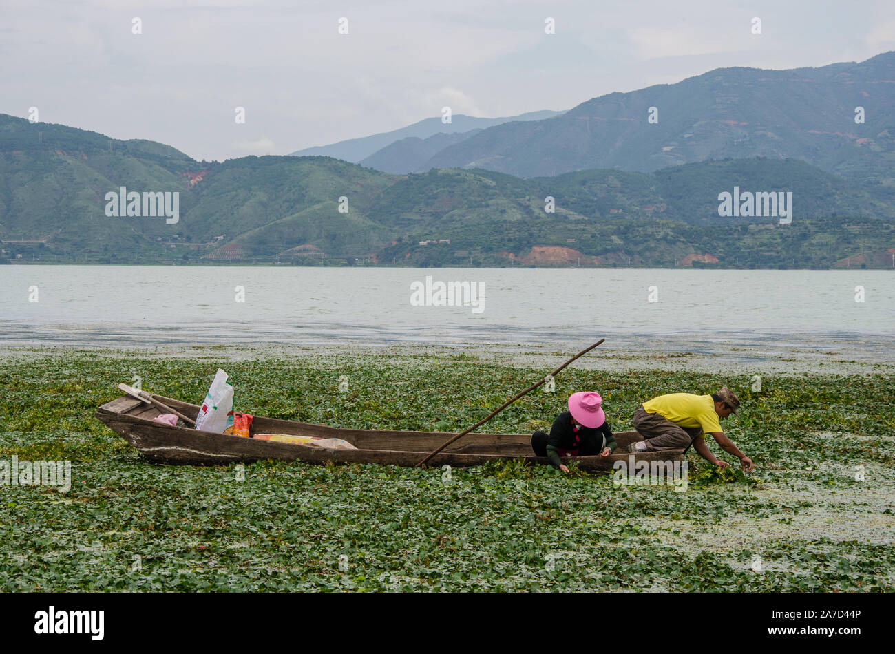 Pescadora de el lago ErHai, Dali, Yunnan, China Foto de stock
