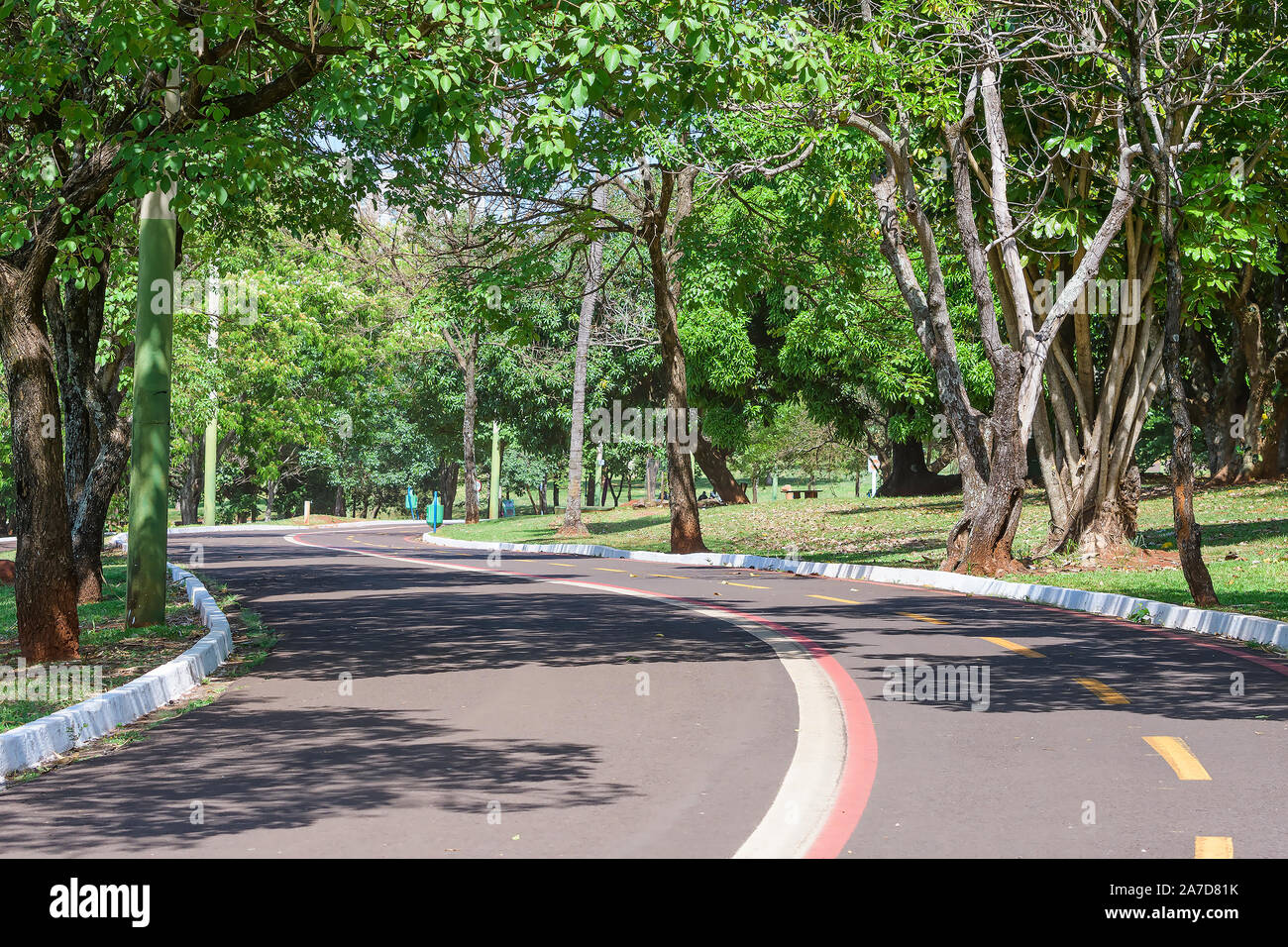 Campo Grande - MS, Brasil - 30 de octubre de 2019: el camino y el carril bici del Parque de las Naciones, rodeado de árboles autóctonos. Foto de stock