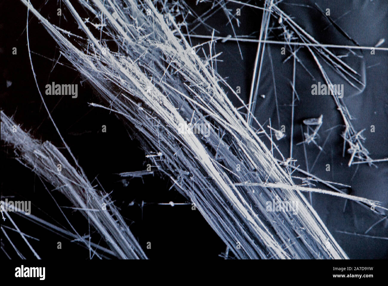 Las fibras de asbesto bajo el microscopio de barrido de electrones  Fotografía de stock - Alamy