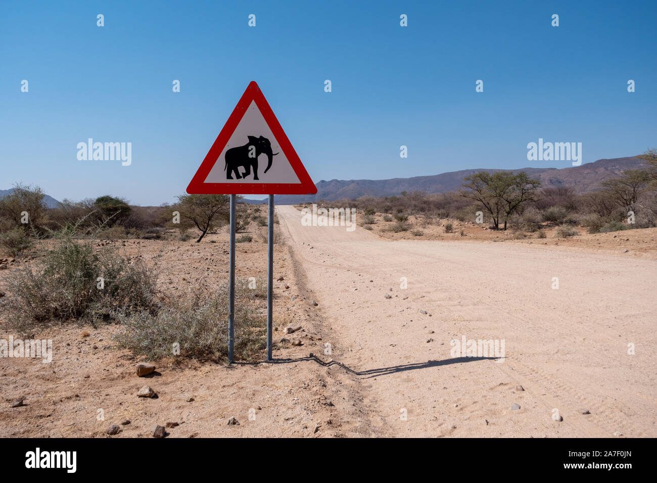 Señal de advertencia de carretera Cruce de elefantes en Namibia, de forma triangular, el peligro de colisiones Animal atención firmar Foto de stock