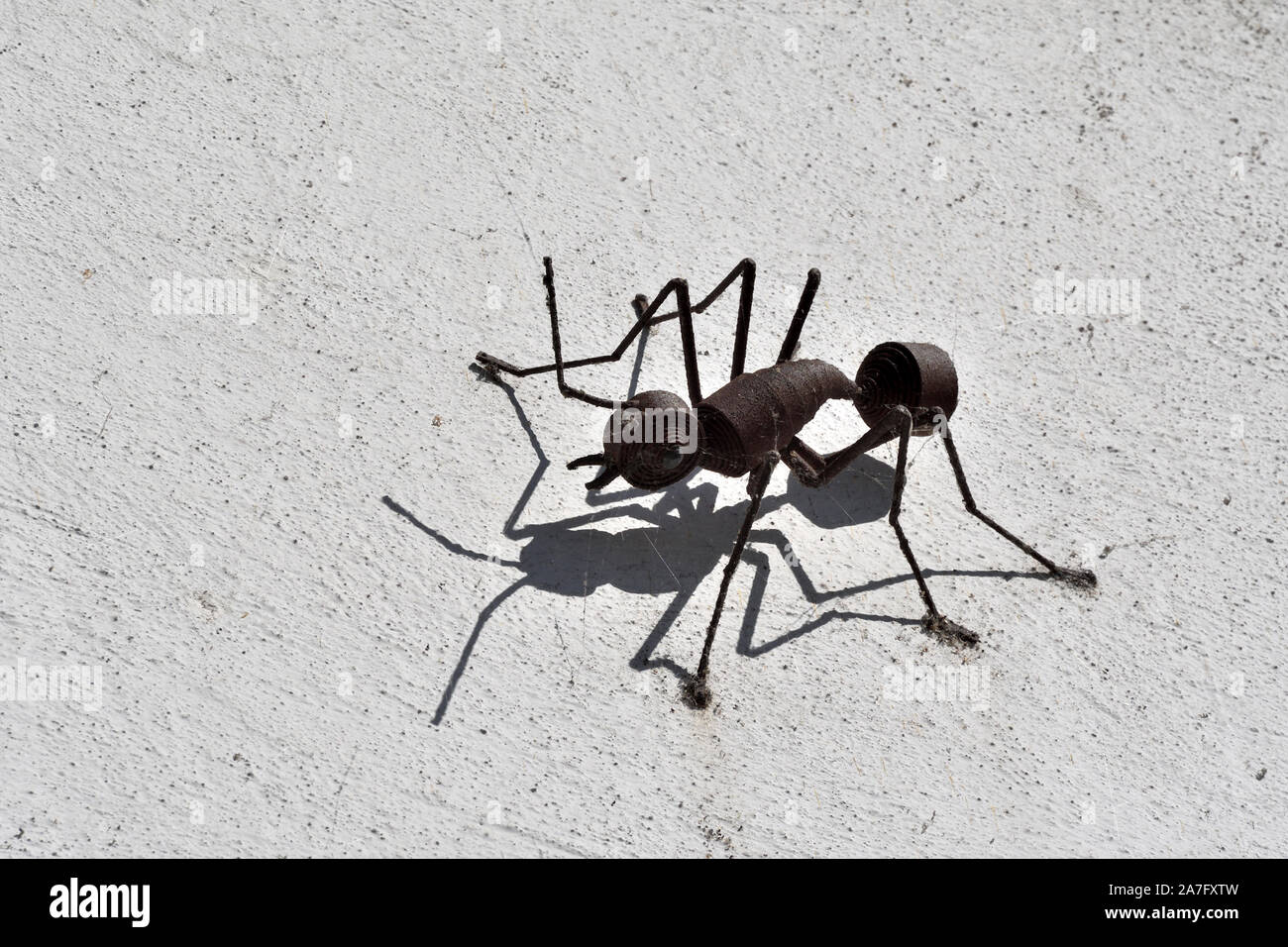 Las hormigas de metal gigante;el museo de historia natural;alfalfa;Suiza Foto de stock