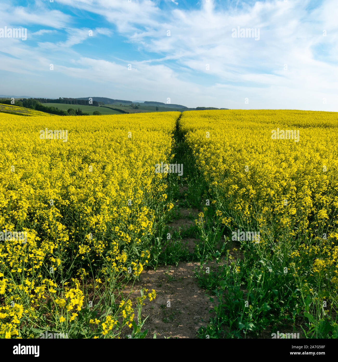 My Image 15