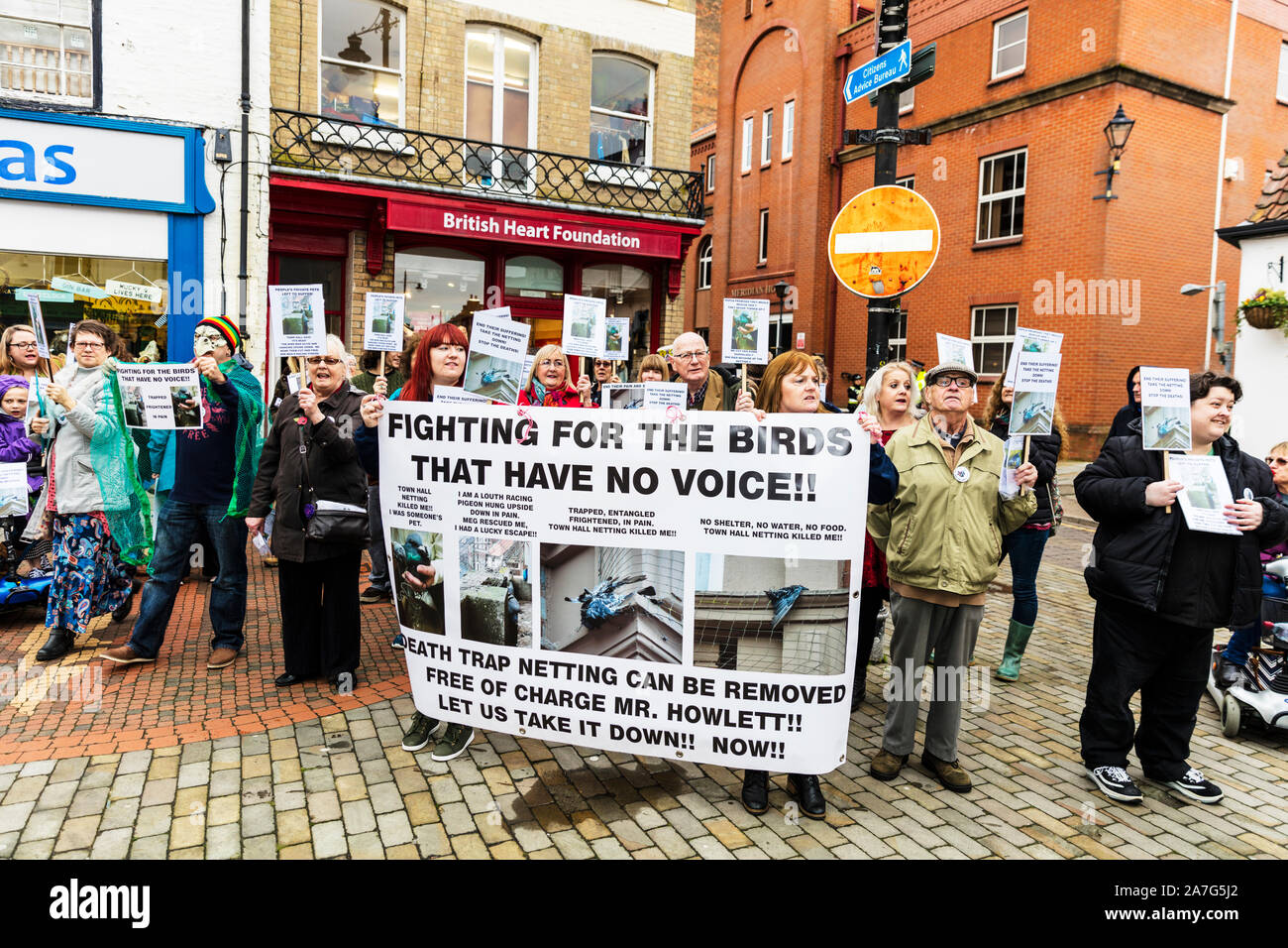 Protesta de palomas, palomas atrapados y asesinados en malla en Louth Town Hall. Protesta 02/11/19 en las calles de Louth, Lincolnshire, Reino Unido. Banners ayudando a salvar la difícil situación de las aves muertas Foto de stock