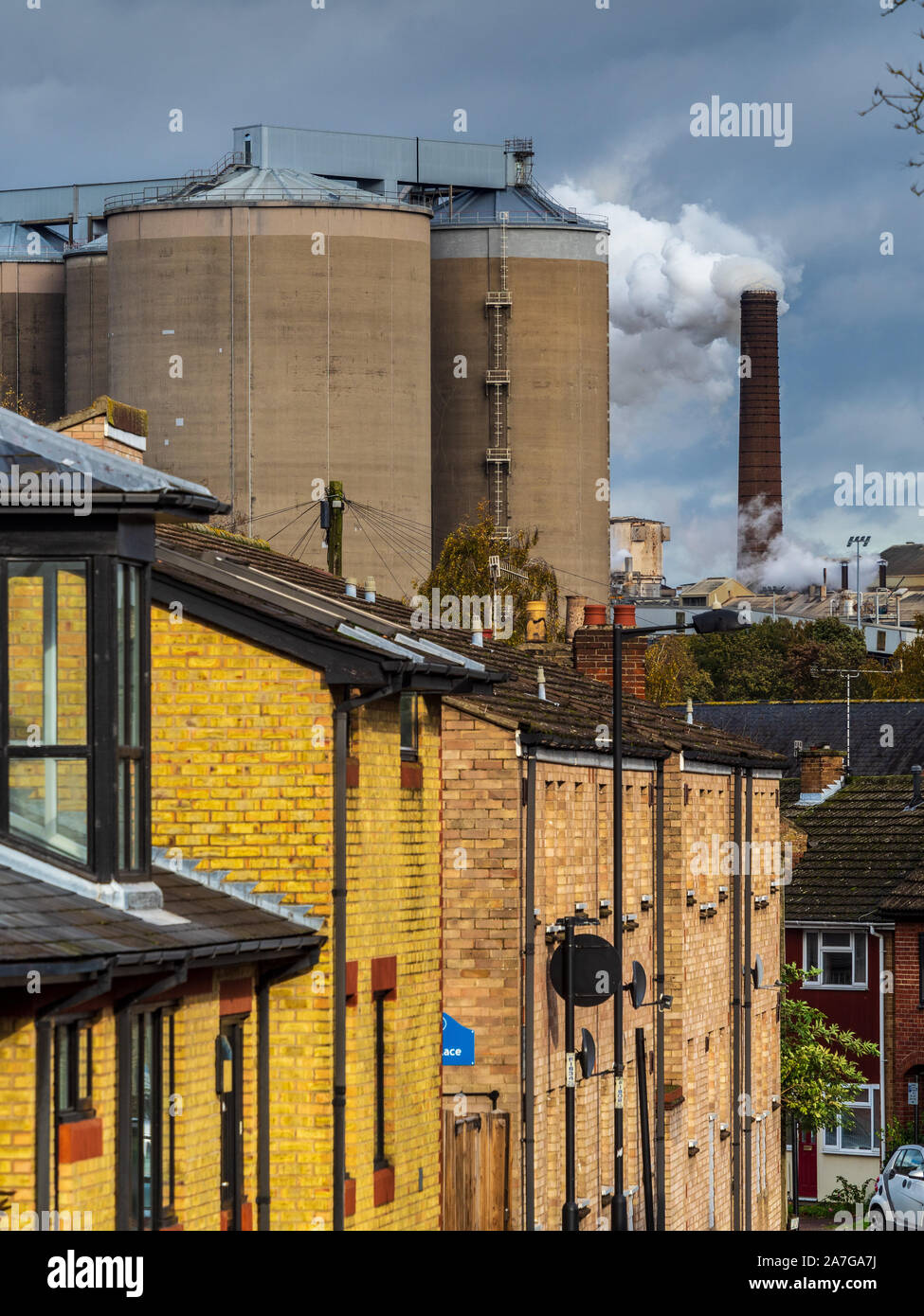 Fábrica del Reino Unido - Fábrica de Remolacha Azucarera Chimeneas - vapor sube desde la fábrica de British Sugar en Bury St Edmunds en Suffolk UK Foto de stock