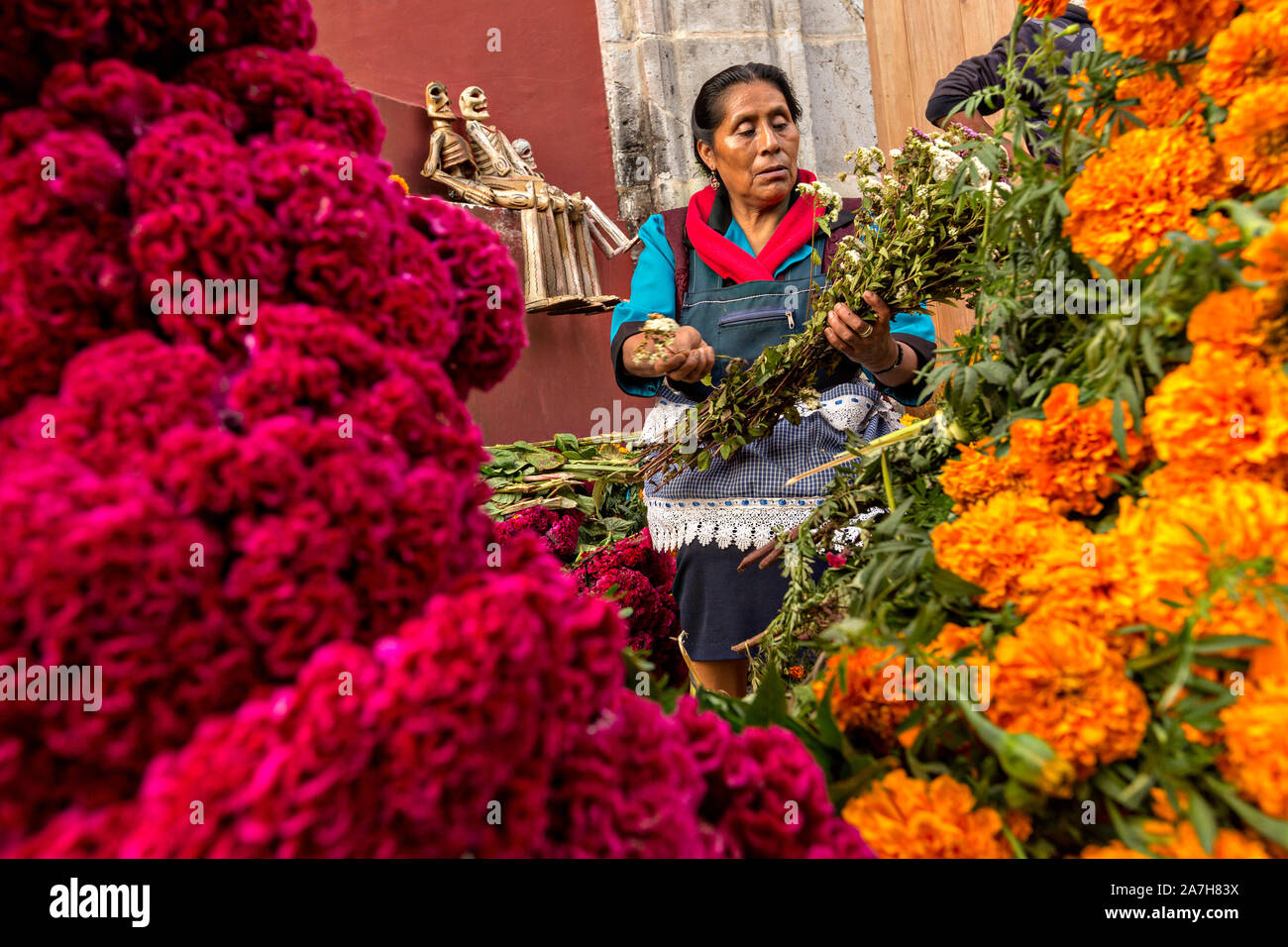 Una anciana mujer mexicana vende flores para honrar gravesides para el Día  de los Muertos festival conocido en español como Día de Muertos el 31 de  octubre de 2013 en Oaxaca, México.