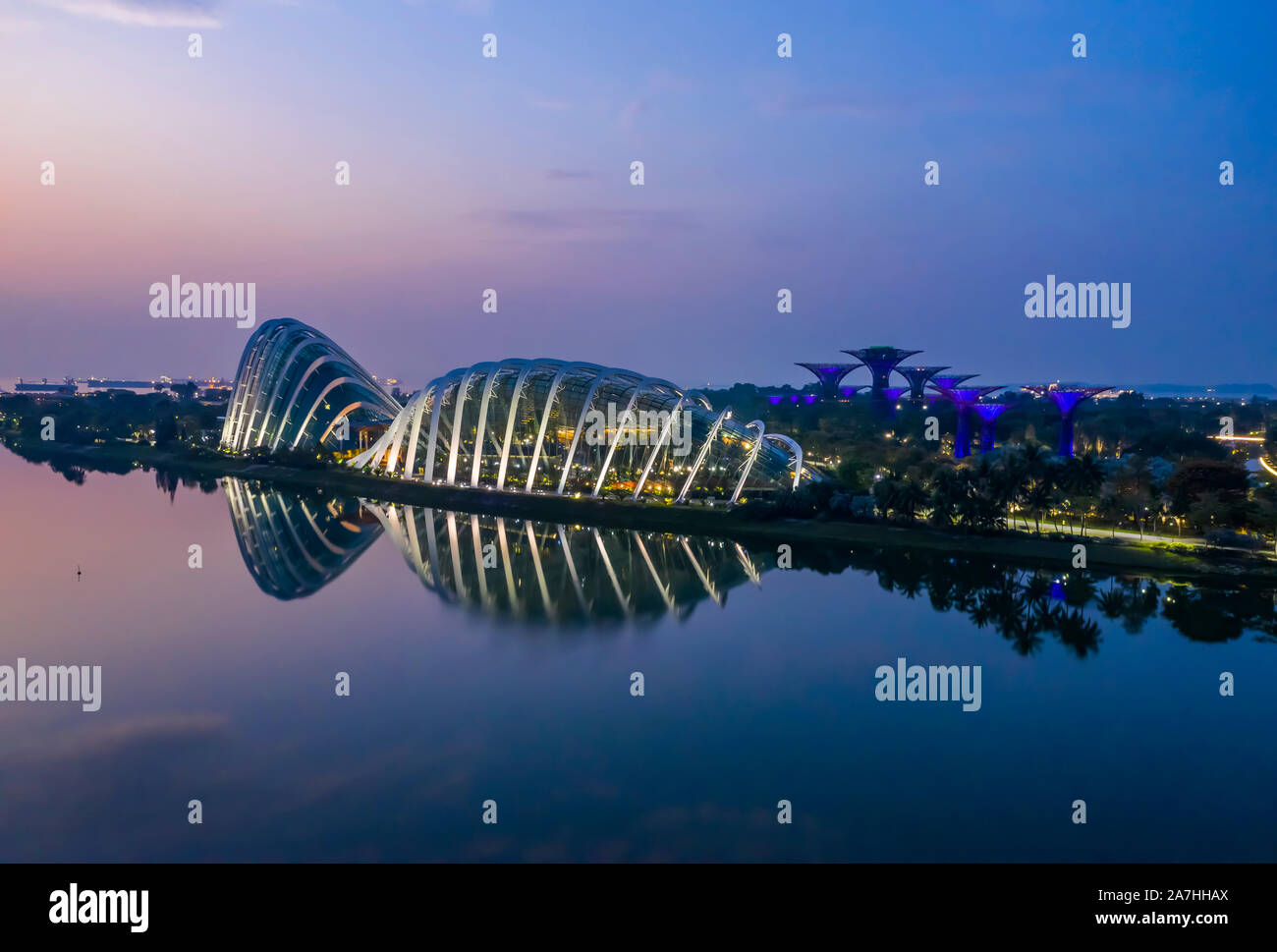 Antena de madrugada panorama de la nube y la flor del domo domo con Supertree grove refleja en Singapur Marina Bay Foto de stock