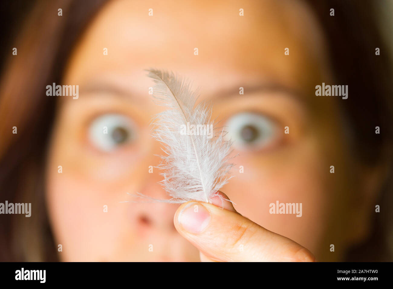 Alergia en la imagen concepto de plumas de pájaro. Los alergenos Fotografía  de stock - Alamy
