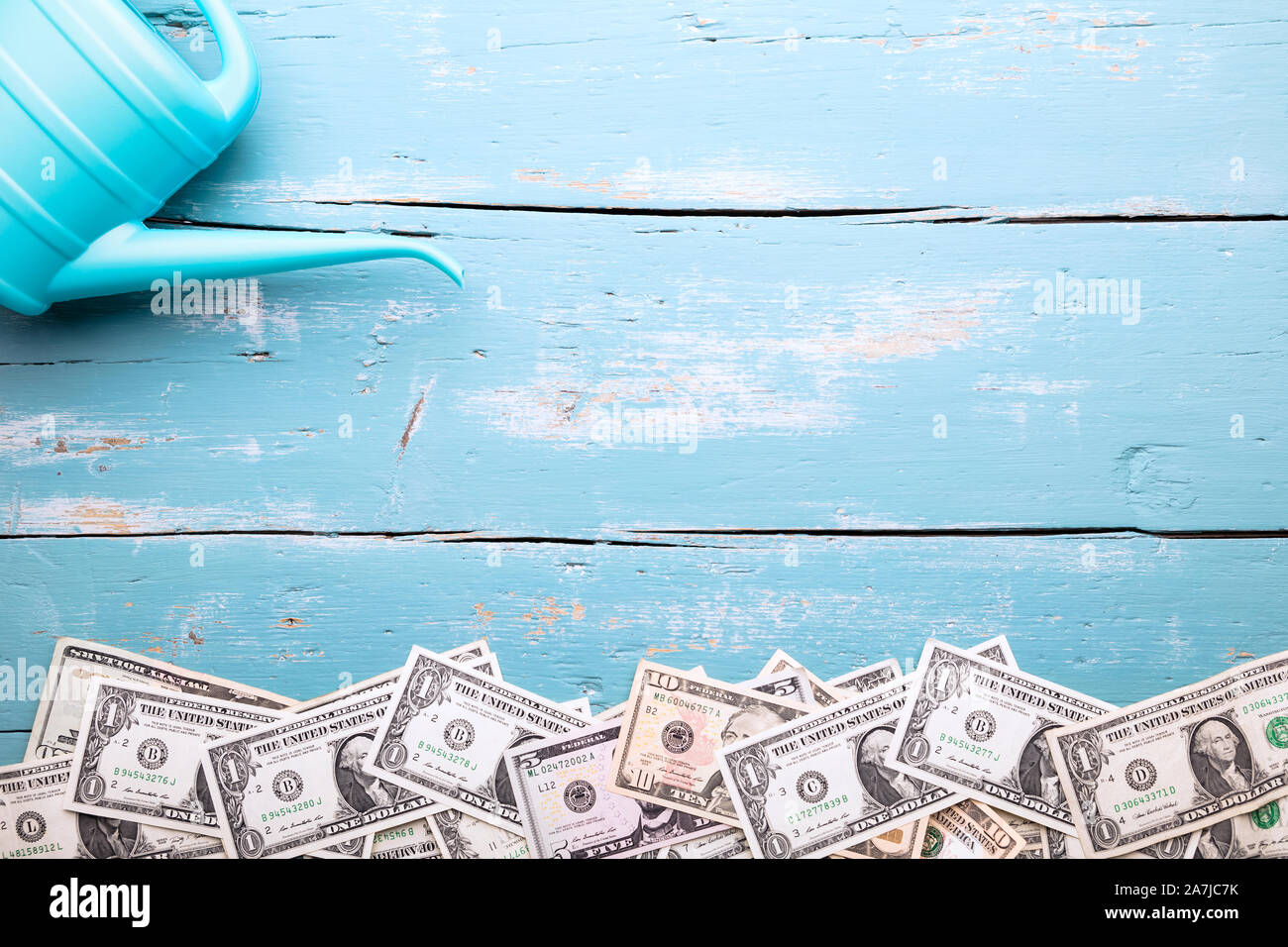Regadera y billetes de dólar sobre fondo azul, concepto creciente y la planta y dinero Foto de stock