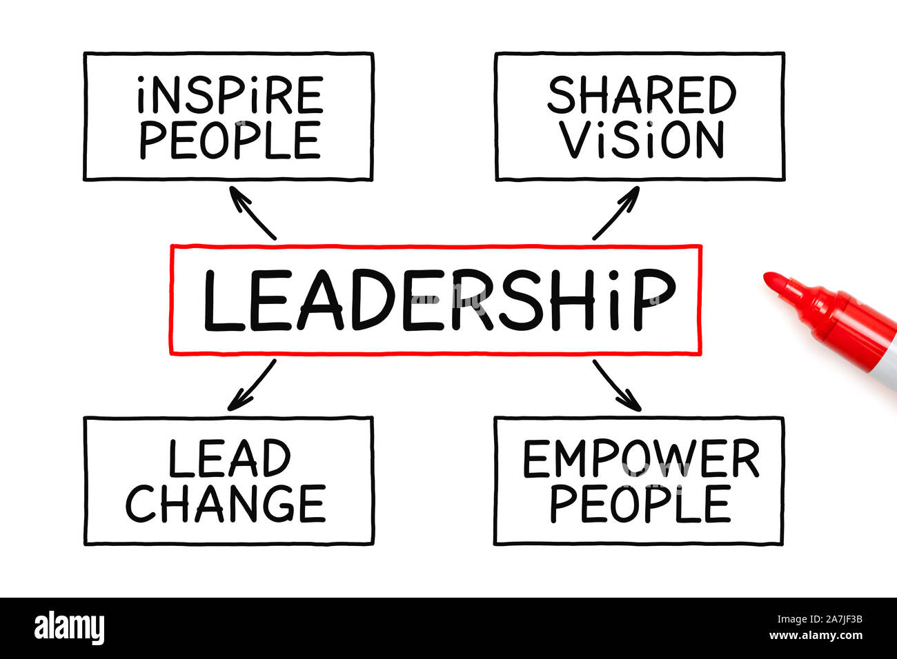 Manuscrita con marcador gráfico de flujo de liderazgo el concepto empresarial sobre fondo blanco. Foto de stock