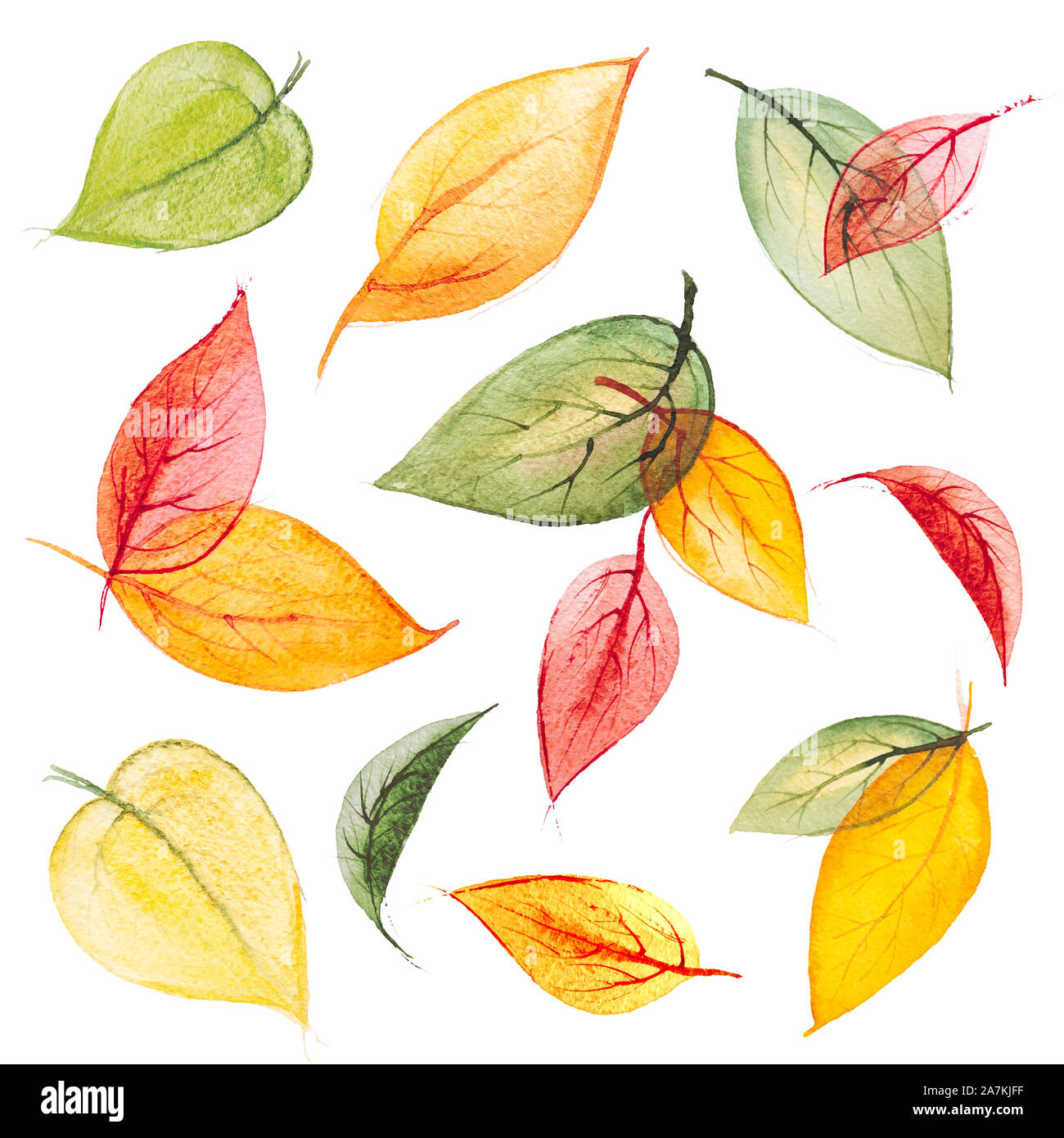 Juego de acuarela aislado hojas de otoño Foto de stock
