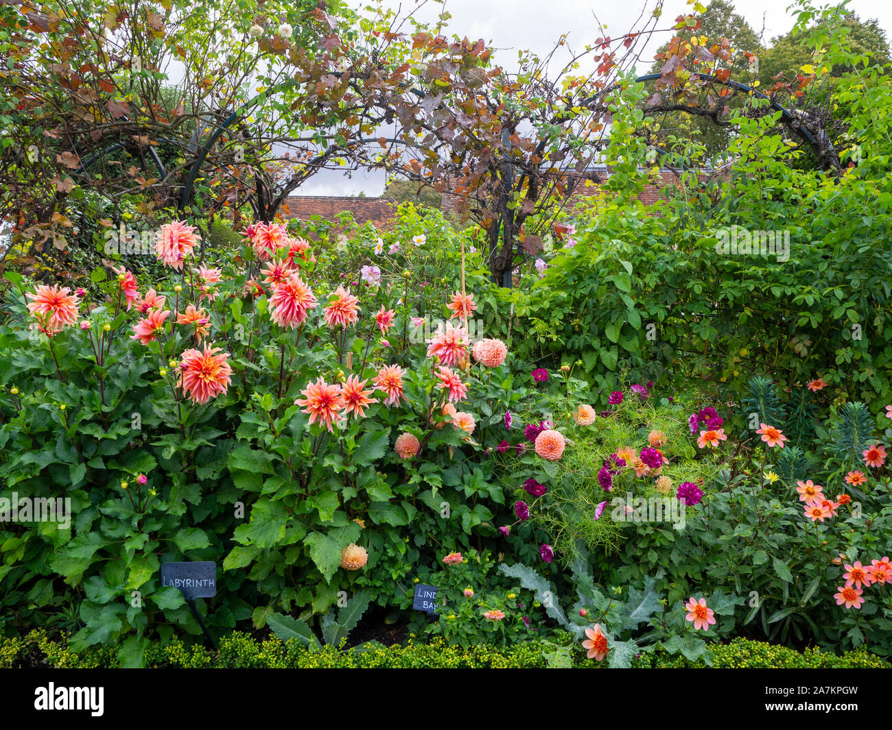 Rosa Mandarina Fotos E Imagenes De Stock Alamy