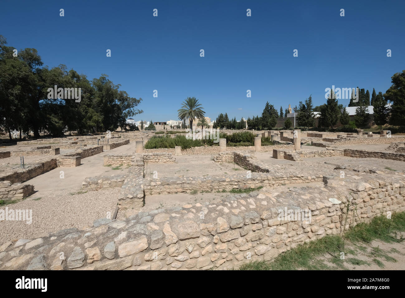 Ruinas romanas en los jardines del museo arqueológico de El Jem o El Djem,Túnez Foto de stock
