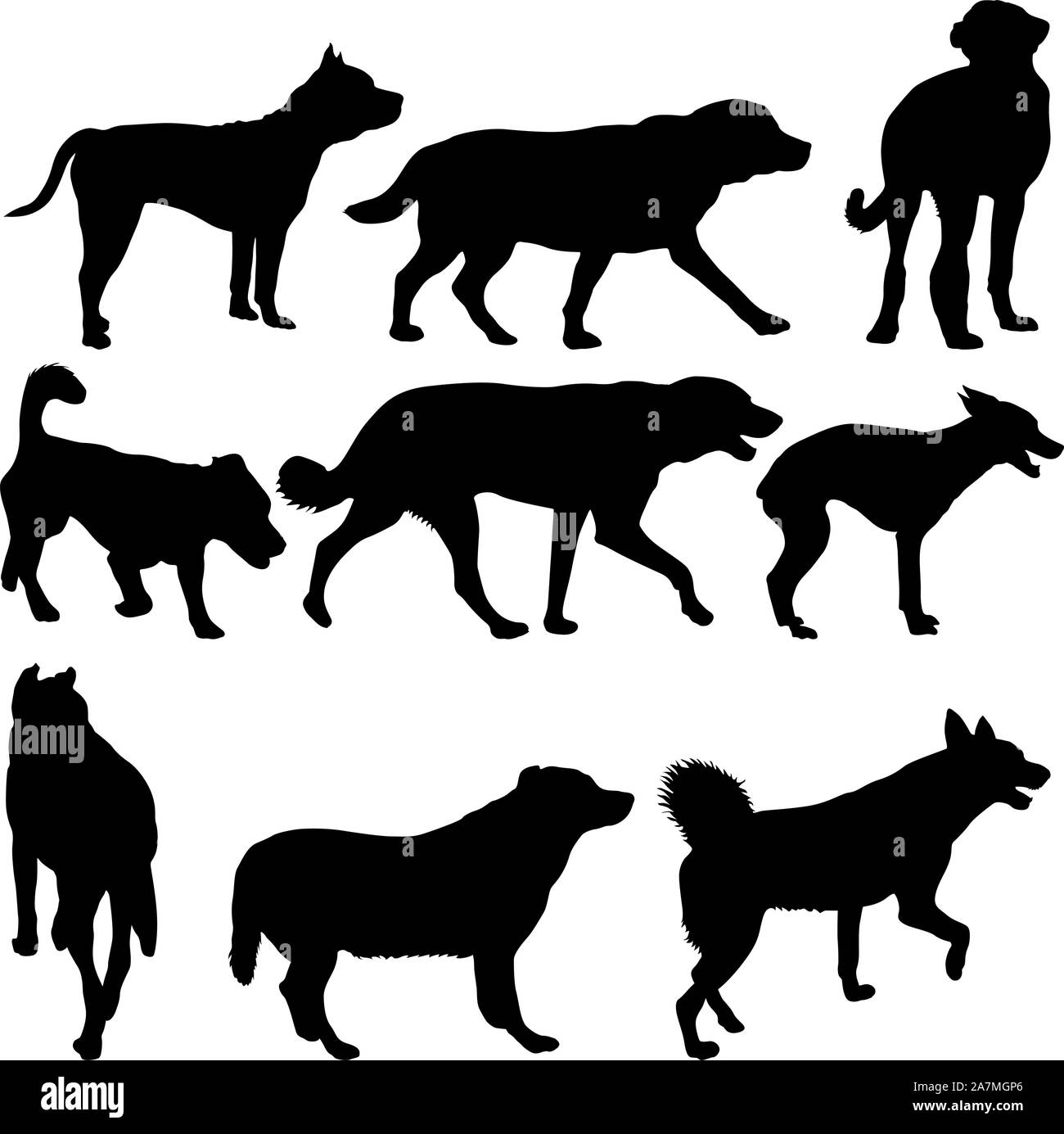 Establecer silueta perro doméstico en negro sobre un fondo blanco. Ilustración del Vector