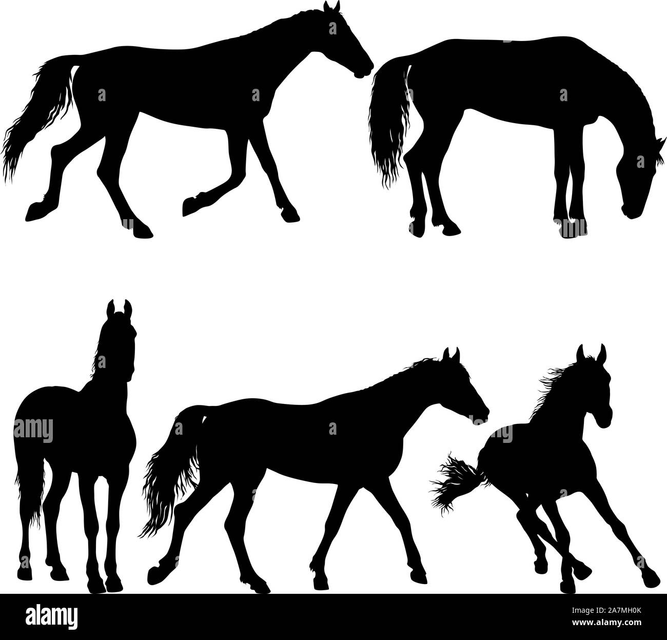 Conjunto animal caballo mustang negro silueta de ilustración. Ilustración del Vector
