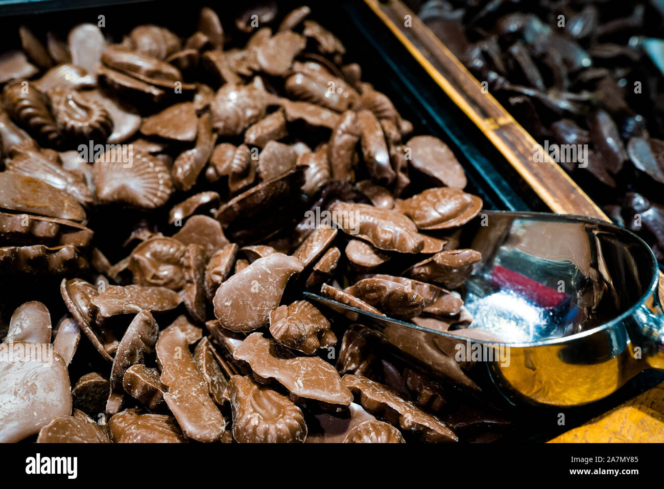 Muchos sabrosos pedacitos y pedazos de chocolate con leche orgánica de cerca Foto de stock