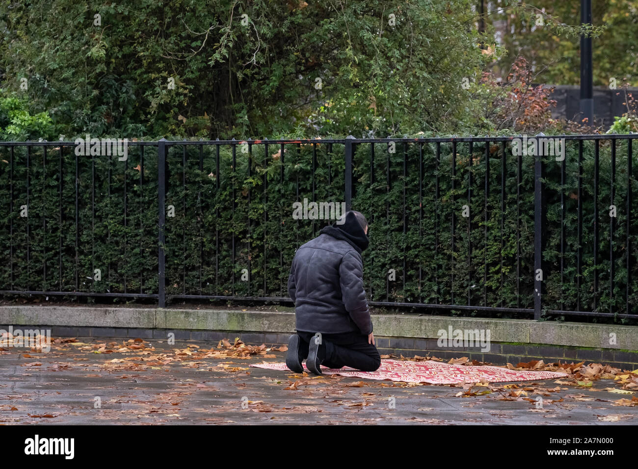 Londres, Reino Unido. 03 de noviembre, 2019. Los musulmanes toman el mediodía-oraciones en el Speakers' Corner, hablar en público la esquina noreste de Hyde Park. Crédito: Guy Corbishley/Alamy Live News Foto de stock