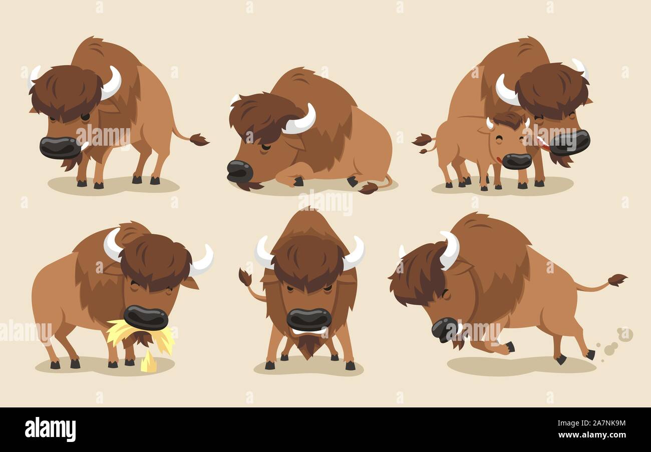 Bisontes americanos Buffalo, con bisontes en seis diferentes vistas, vista  frontal, vista lateral, con la pantorrilla. Ilustración vectorial de dibujos  animados Imagen Vector de stock - Alamy