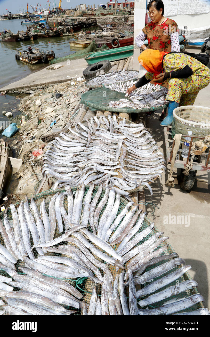 Pescadoras están secando el pescado por el puerto de Lianyungang, ciudad del este de China de la provincia de Jiangsu, el 25 de agosto de 2019. Foto de stock