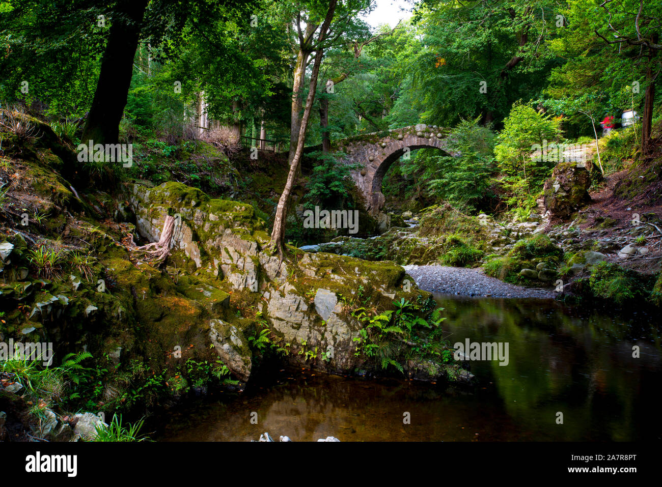 Tollymore Bryansford Park en Irlanda del Norte Foto de stock