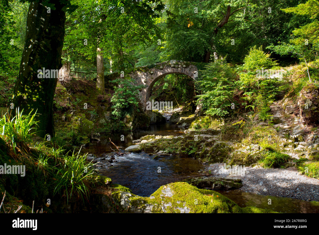 Tollymore Bryansford Park en Irlanda del Norte Foto de stock