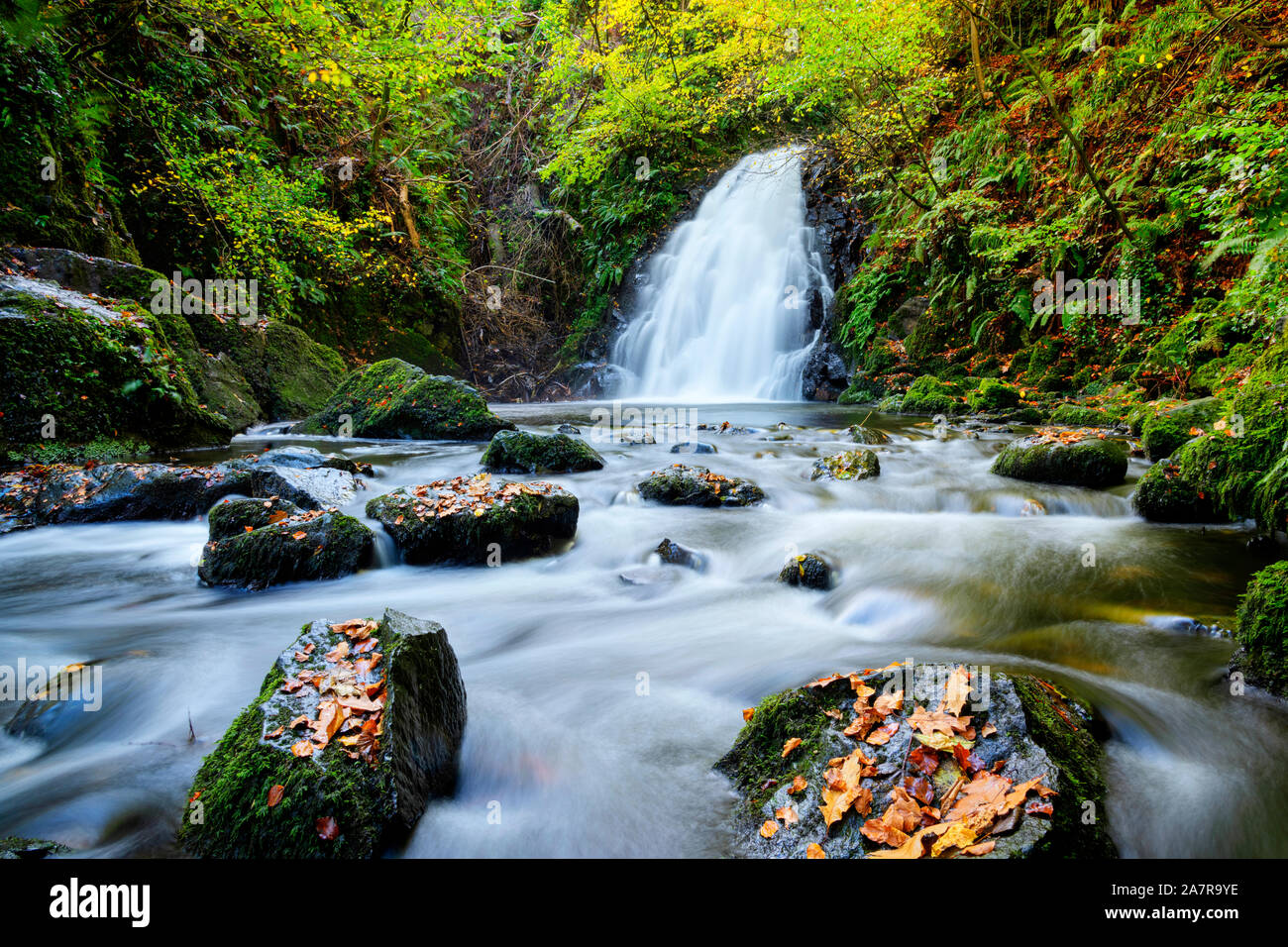 Glenoe otoño cascada en el Condado de Antrim, Irlanda del Norte Foto de stock