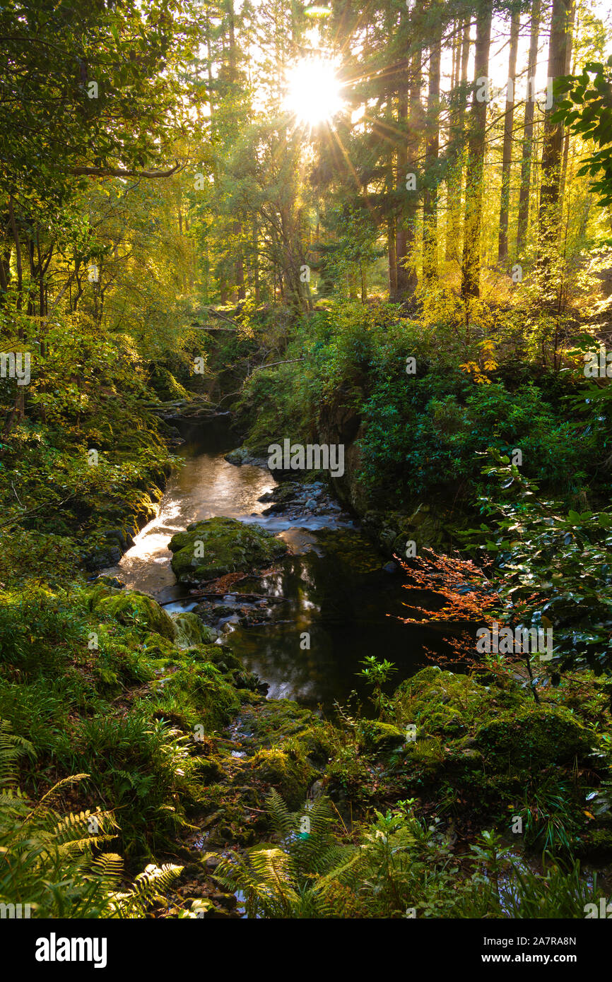Tollymore Bryansford Park en Irlanda del Norte Foto de stock
