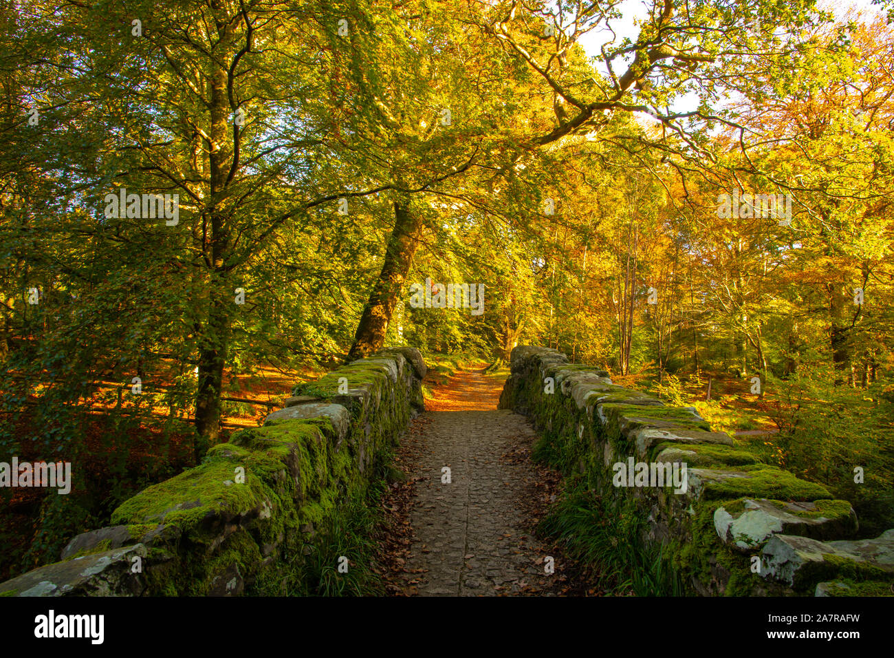 Tollymore Bryansford Park en Irlanda del Norte Foto de stock