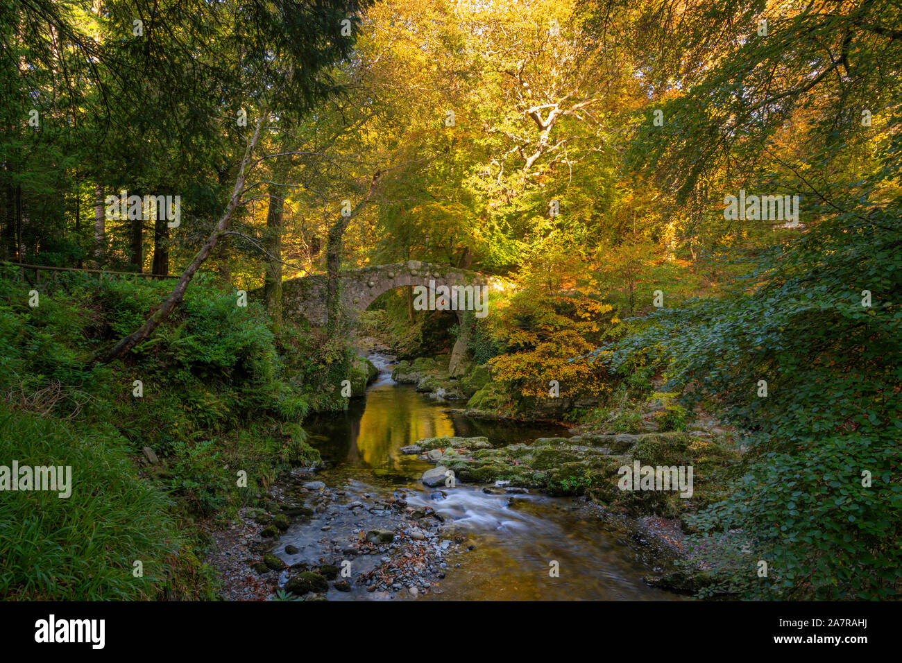 Tollymore Bryansford Park en Irlanda del Norte Foto de stock