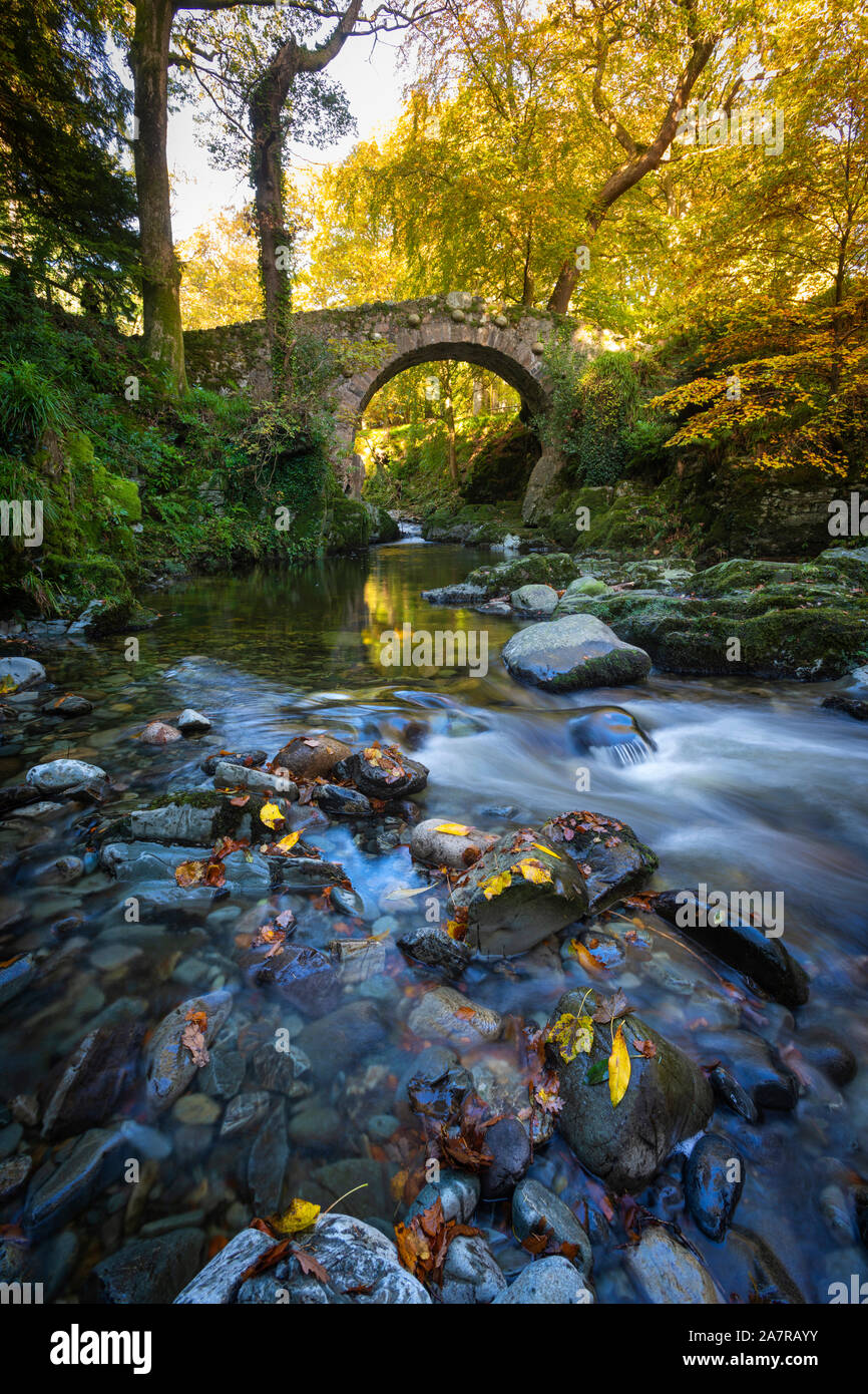 Tollymore Bryansford Park en Irlanda del Norte Foto de stock