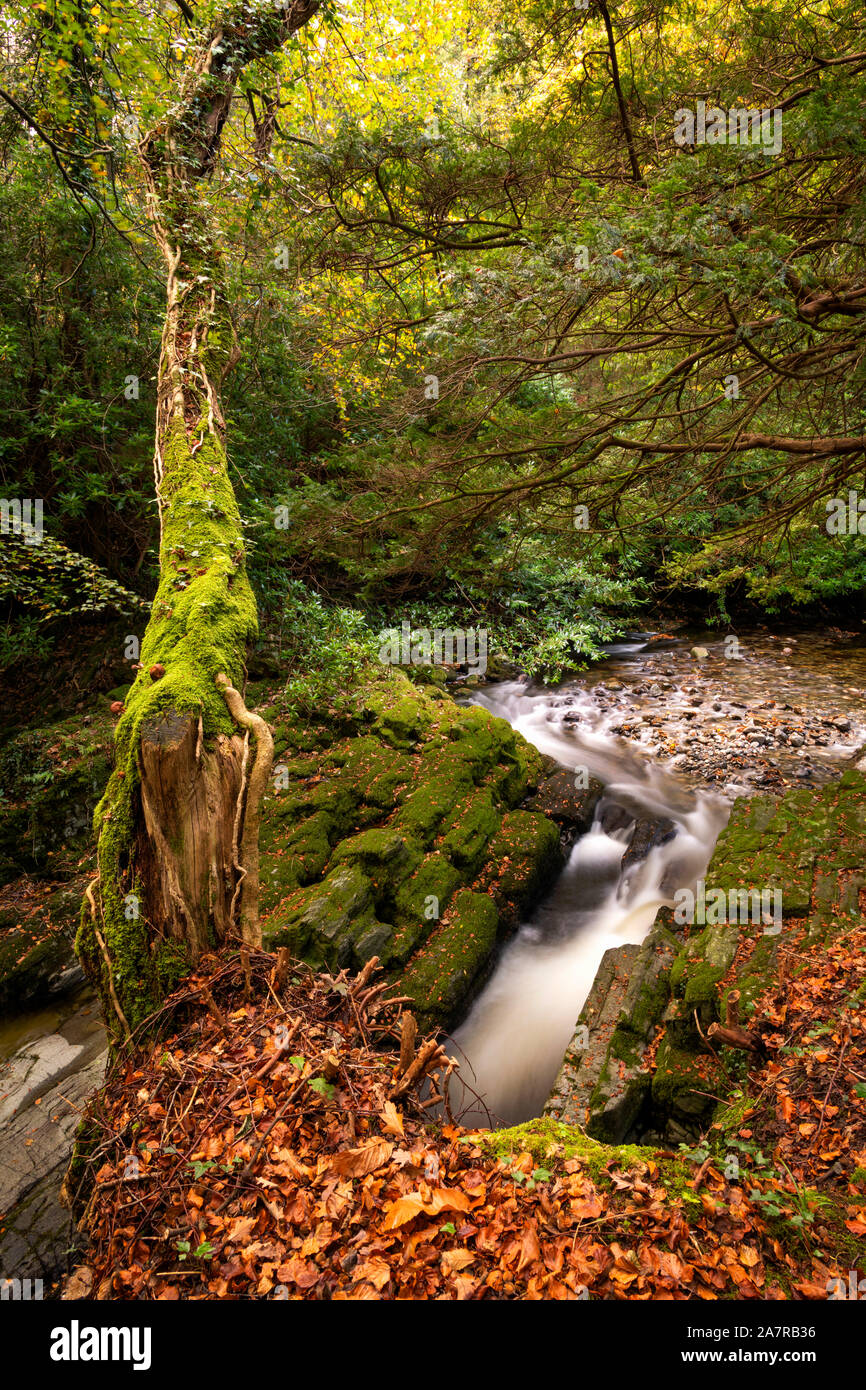 Tollymore Bryansford Park en Irlanda del Norte Foto de stock